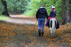 Reiten lernen
